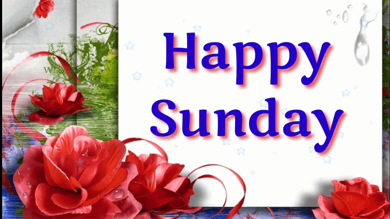 Happy Sunday 💕💕sweet whatsapp video, wishes, greetings, video message,