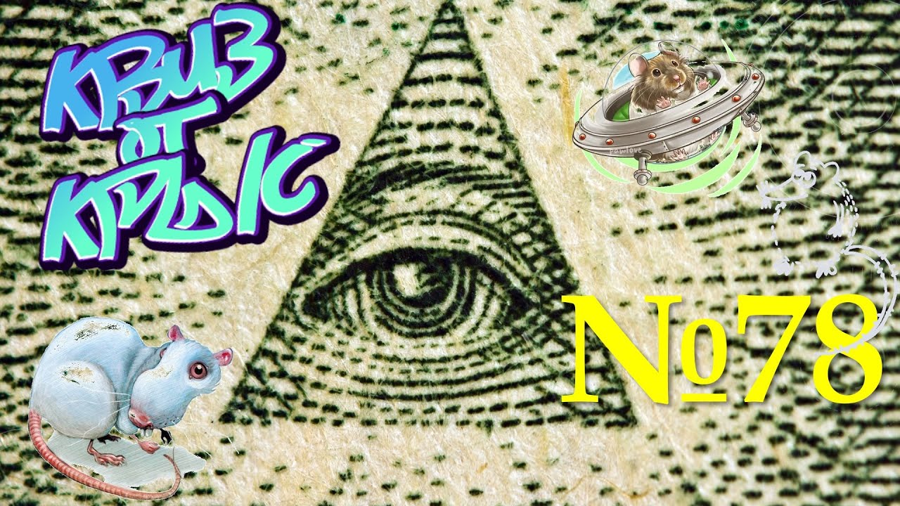 КВИЗ от КРЫС эпизод 78 QUIZ ot KRYS ep #78