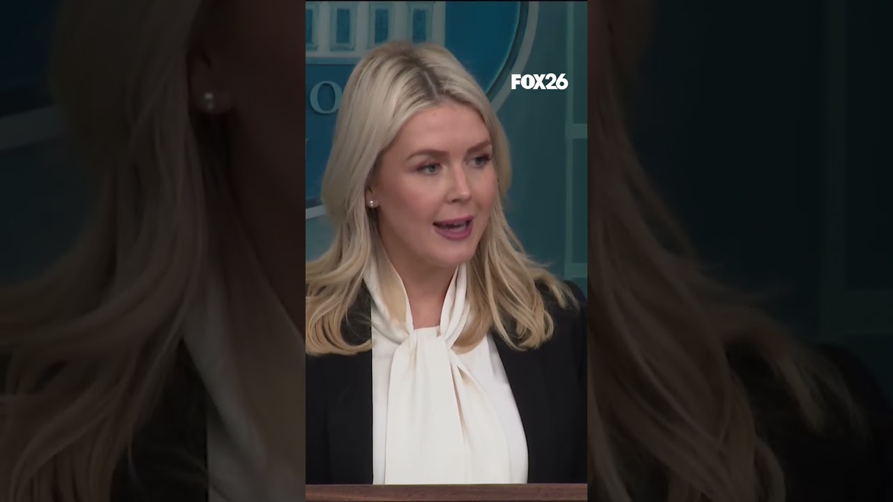Leavitt to CNN reporter: The press only wants to make the president look bad, especially you and CNN