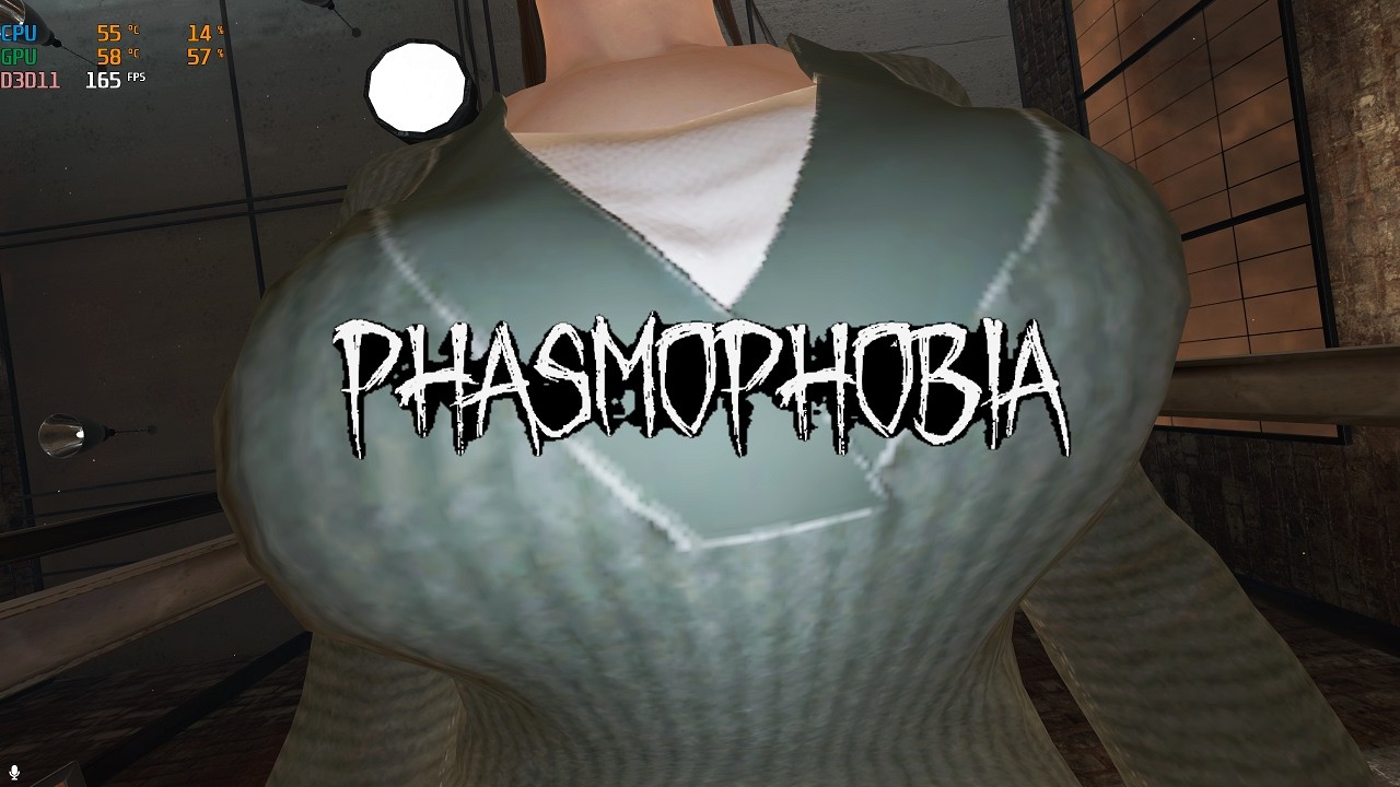 【Phasmophobia】小マップ練習【インサニティ】