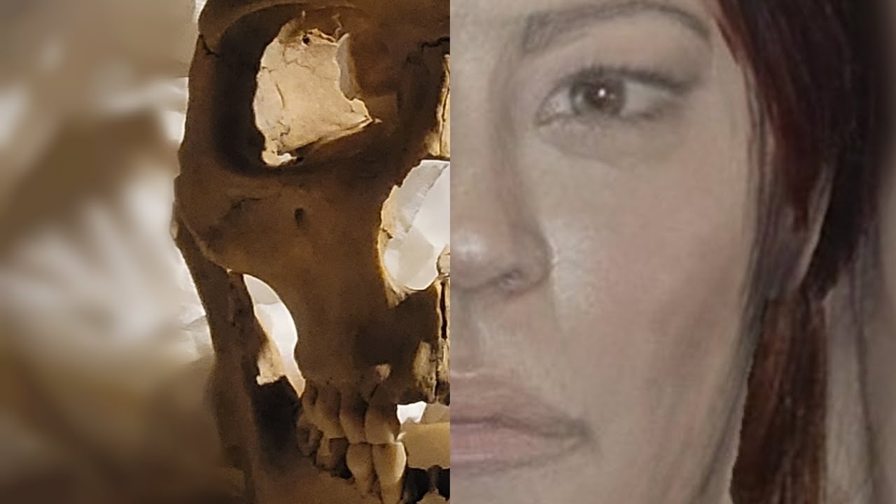 Facial reconstruction antropology drowing by Emese Gábor