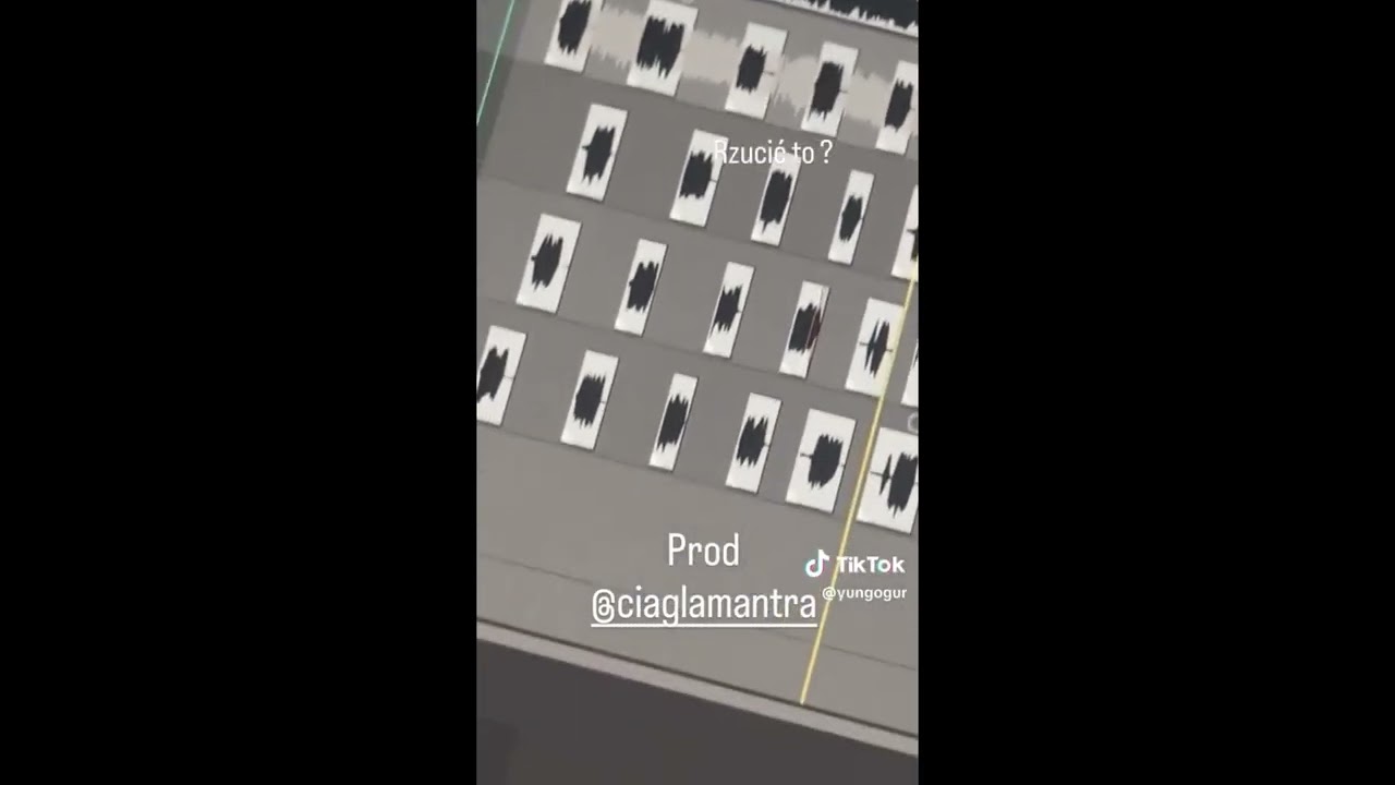 mlodykamil  snippet