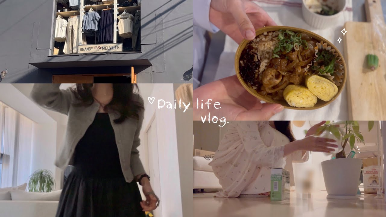 vlog. 社会人の日常✧ 出勤日,お弁当作りと夕飯🍎東京での週末🗼買い物と食事の記録🐕‍🦺