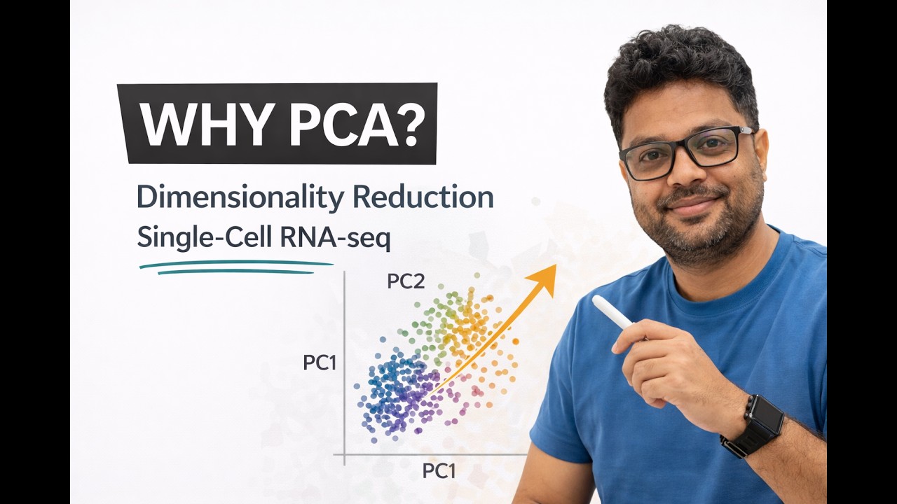 Why PCA is Essential Before Clustering | Single-Cell RNA-seq (Seurat)