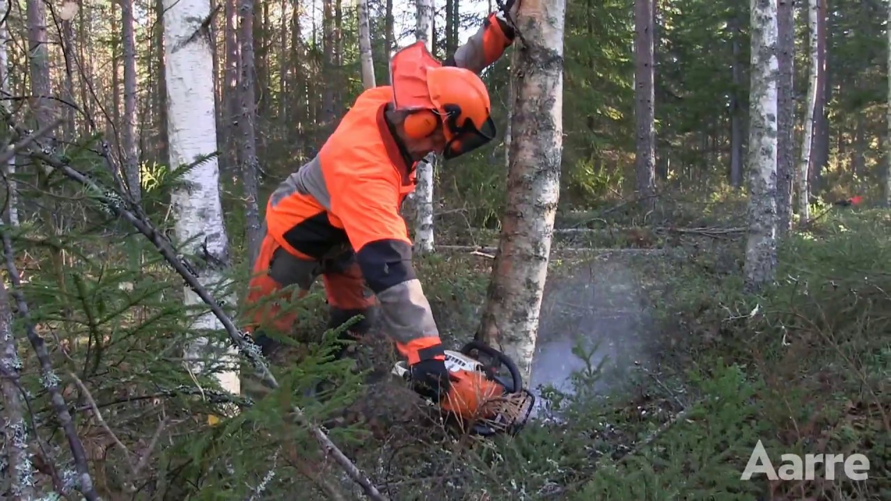 Aarre 2016 | Metsuri Jaakko Pessinen