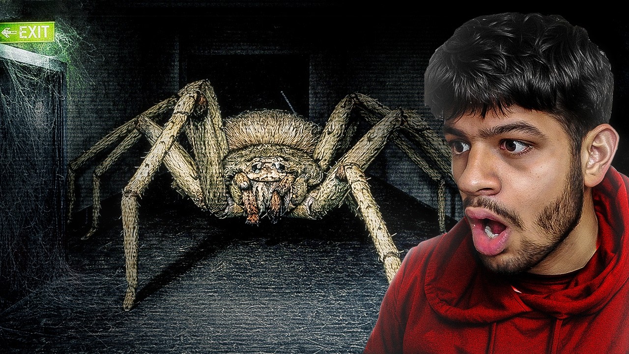 TRAPPED WITH A SUPER FAST "HUNTSMAN SPIDER"