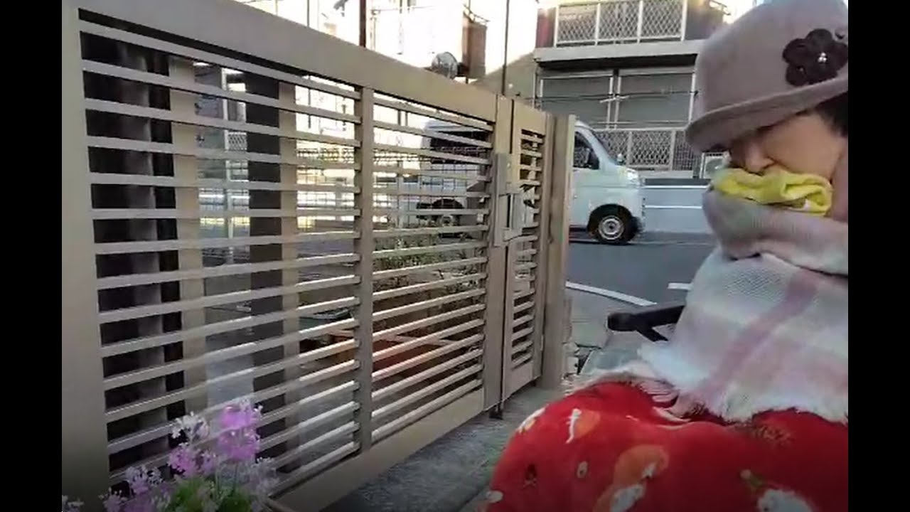 今日のノリピー 20260115 散歩で、たくさんのお花と猫ちゃん達