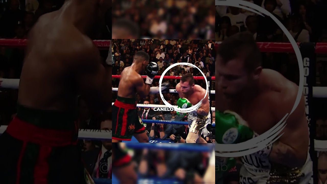 The Best Defensive Head Movement In Boxing