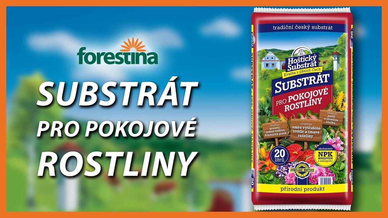 Ho&scaron;tick&yacute; substr&aacute;t pro pokojov&eacute; rostliny