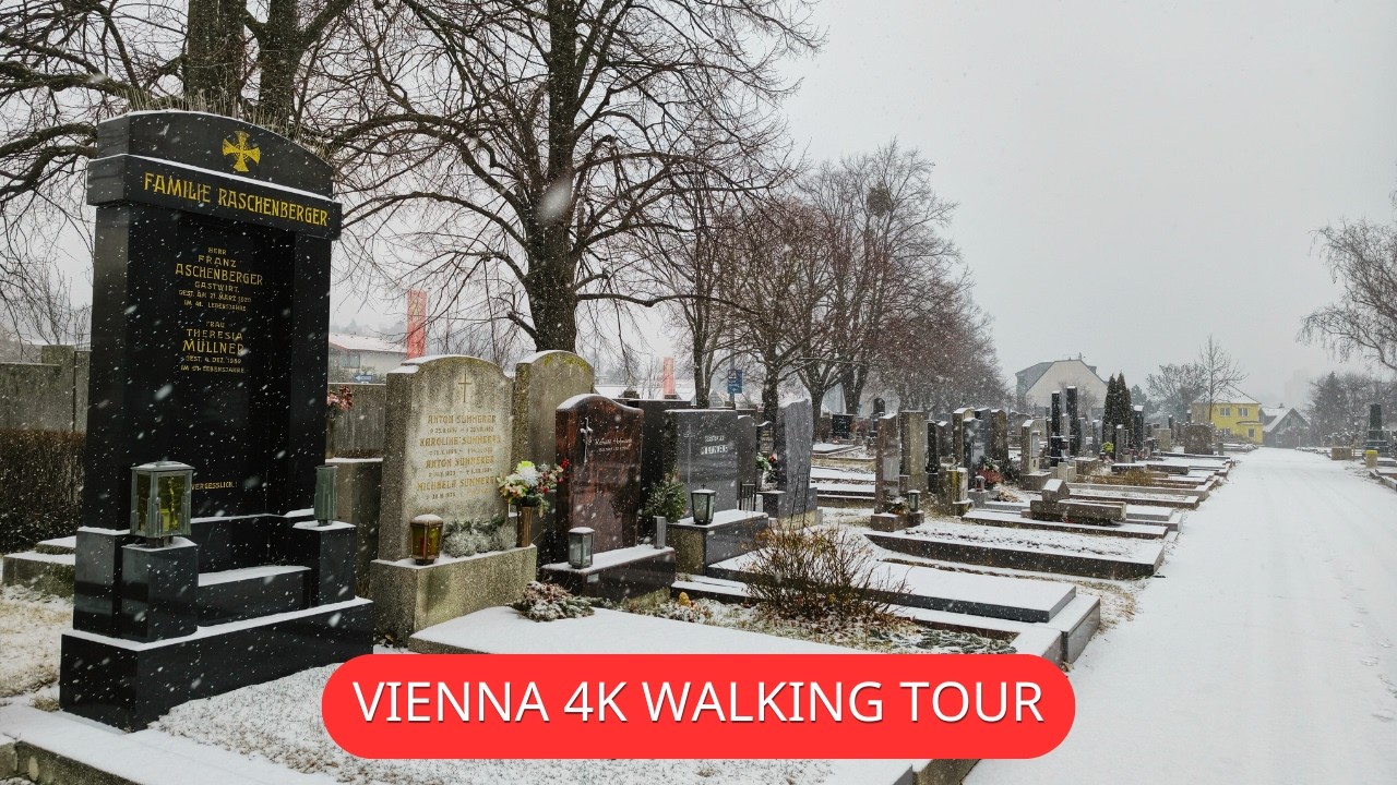 ❄️🌲Snow in Vienna | Friedhof Baumgarten  - 4k Virtual Walk