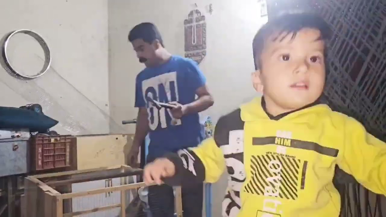 How to make Chick's Cage 