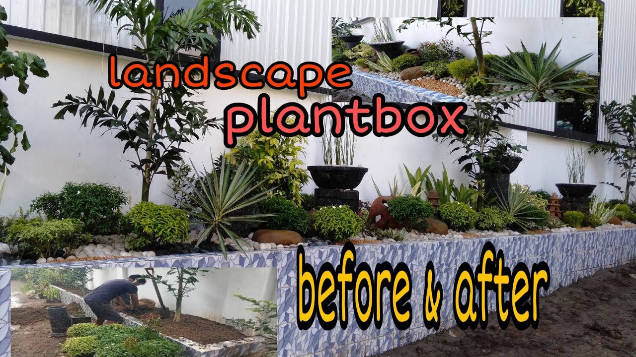 #landscape #plantbox #junielandscape #Annvlog  landscape with plantbox before & after