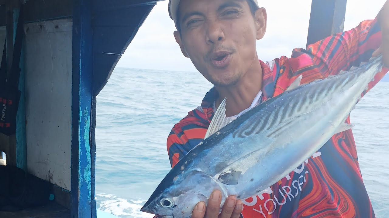 Musim tongkol Monster spot bakauheni selat sunda 