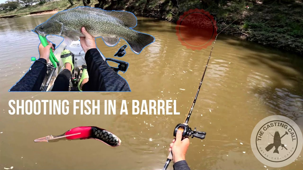 Shooting Fish in A Barrel l The Casting Call l Catching Cod on a Sunny Summer Day