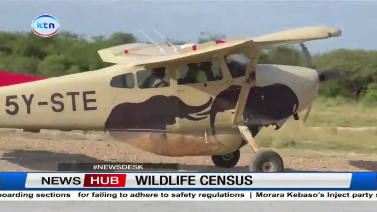 Government completes 10-days wildlife census on Northern Kenya