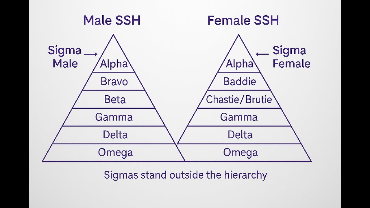 Introduction to the Socio-Sexual Hierarchy