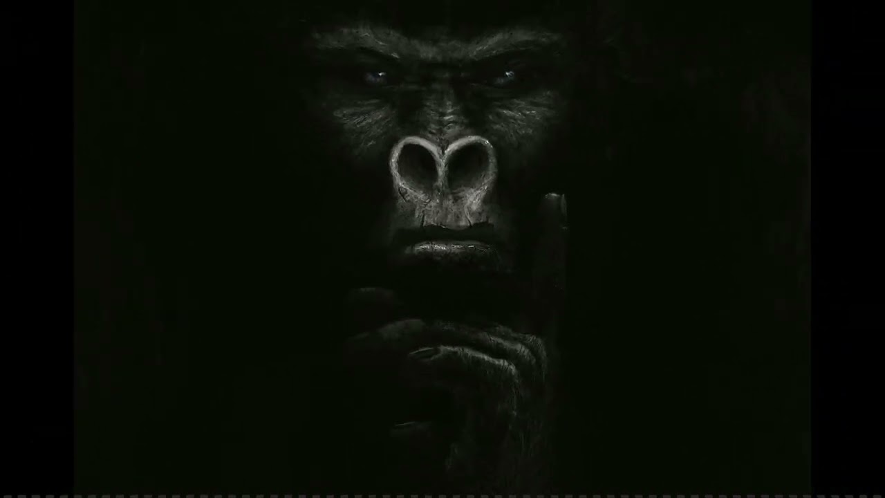 [FREE]  Hard kick Type Beat -kong-( Prod. By Dukal )