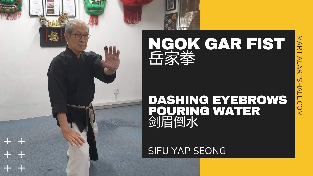Ngok Gar Fist: Dashing Eyebrows Pouring Water (岳家拳: 剑眉倒水)
