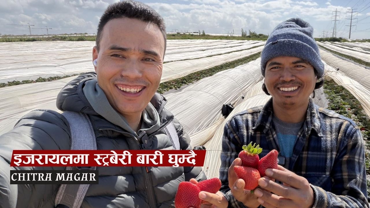 इजरायलको स्ट्रबेरी बारी  | Kadima Farm Vlog || Chitra Magar ||