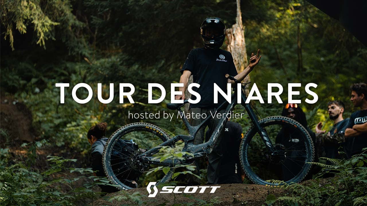 TOUR DES NIARES