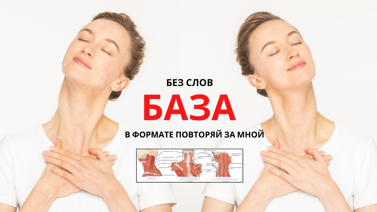 Проработка Базы без слов! В формате повторяй за мной