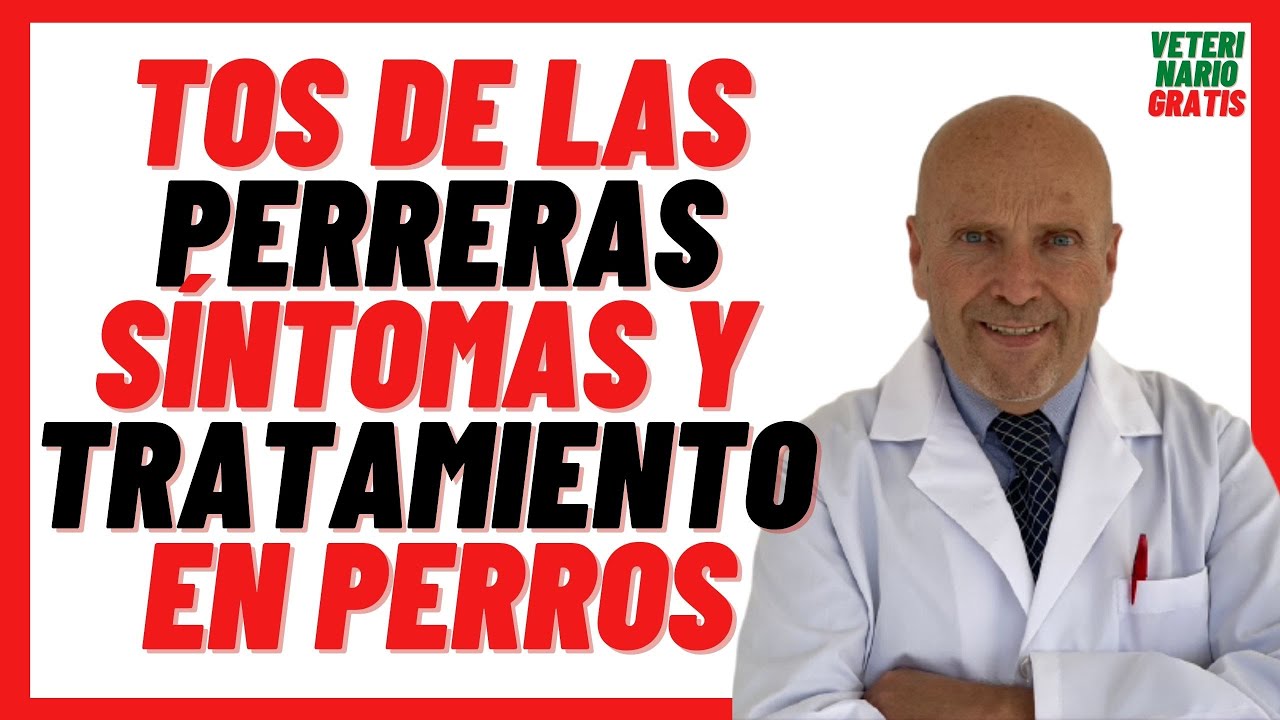 🔴 TOS de las PERRERAS o GARROTILLO Síntomas y Tratamiento 🔴 en Perros Adultos y CACHORROS