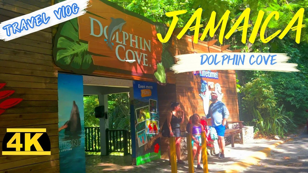 Enjoying a Beautiful Walk in Jamaica, Ocho Rios -  1 Hour Country Road Walk /Traveling in 4k HDR
