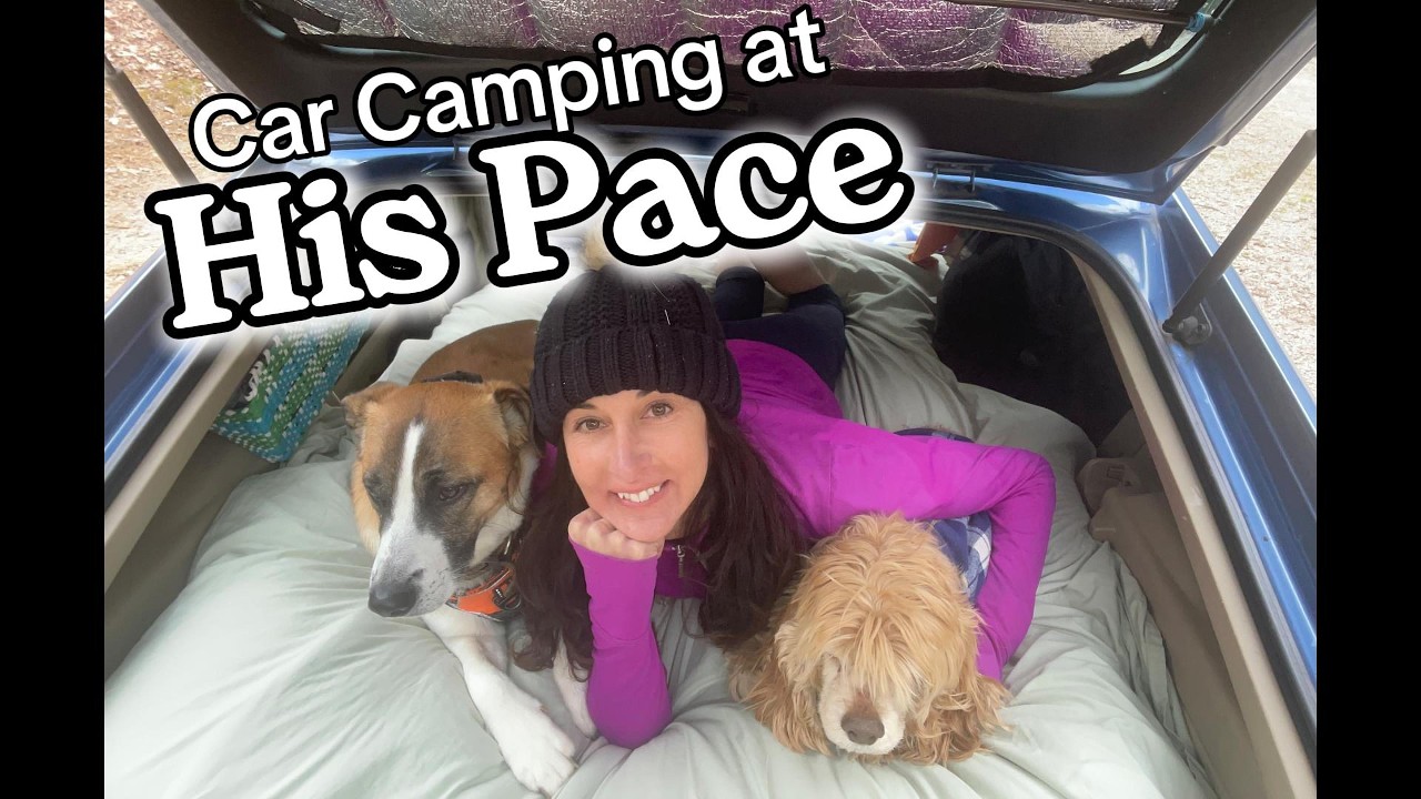 Car Camping w my Old Dog-A Scare at Camp /solo female Prius vanlife