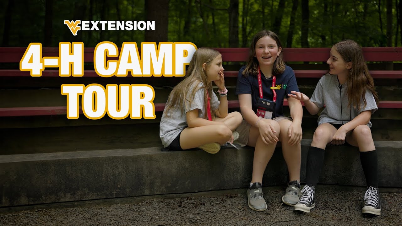 A Day at 4-H Camp 🍀