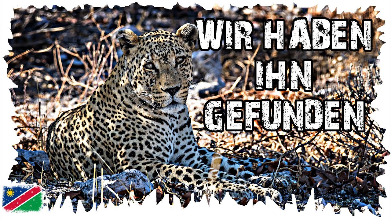 Perfekter Tag im Etosha Nationalpark - Namibia Reise #25