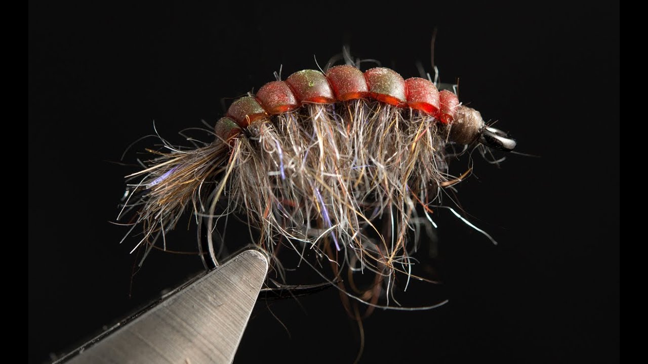 AHREX - Juicy Gammarus - tied by Lars Chr Bentsen