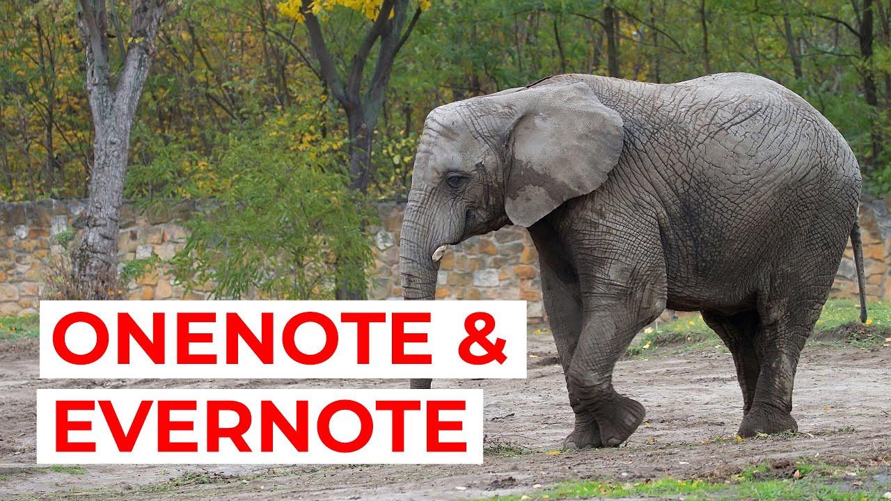 Nooit meer stapels doorspitten... papierloos werken dankzij Onenote of Evernote! | Tijdwinst.com