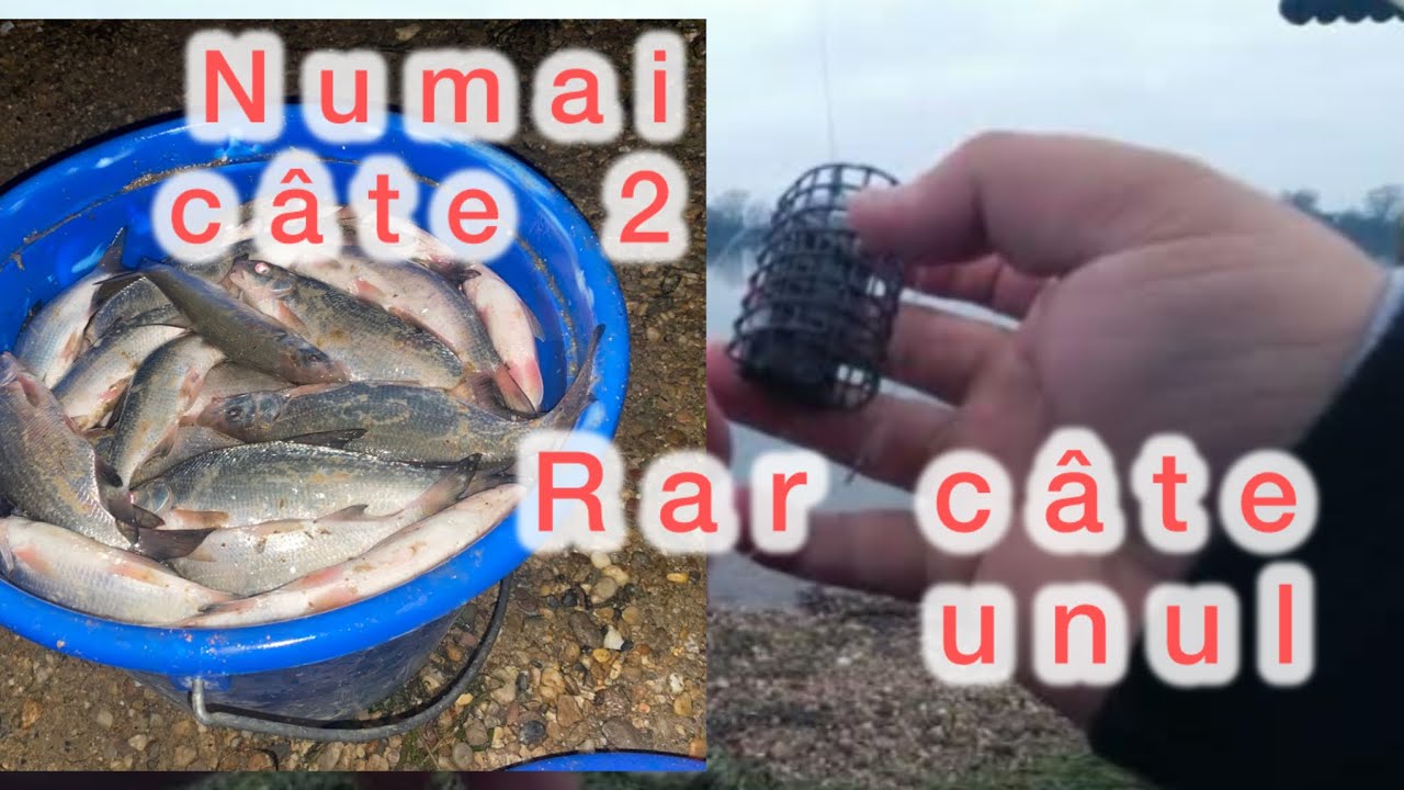 🏆🌊🥶PESCUIT ACTIV IARNA PE PLOAIE ȘI VREME URATA !! Numai câte doi 2️⃣ 
