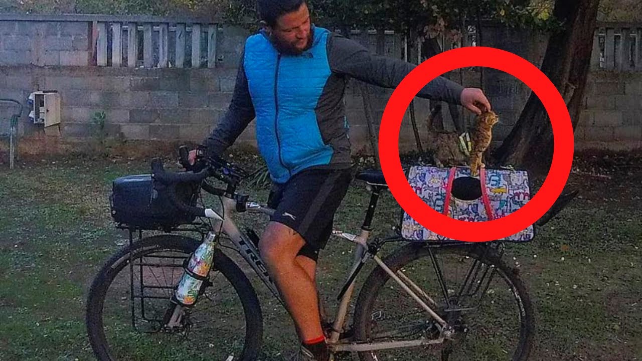 This Man Biking Solo Around The Globe Suddenly Realizes He’s Actually Not Alone