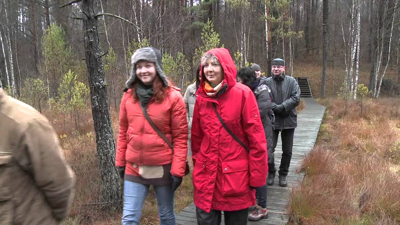 Asvejos regioninis parkas