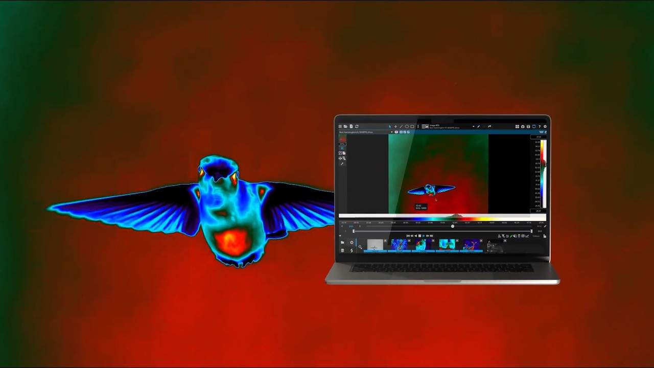Flir Research Studio | 2026 Updates
