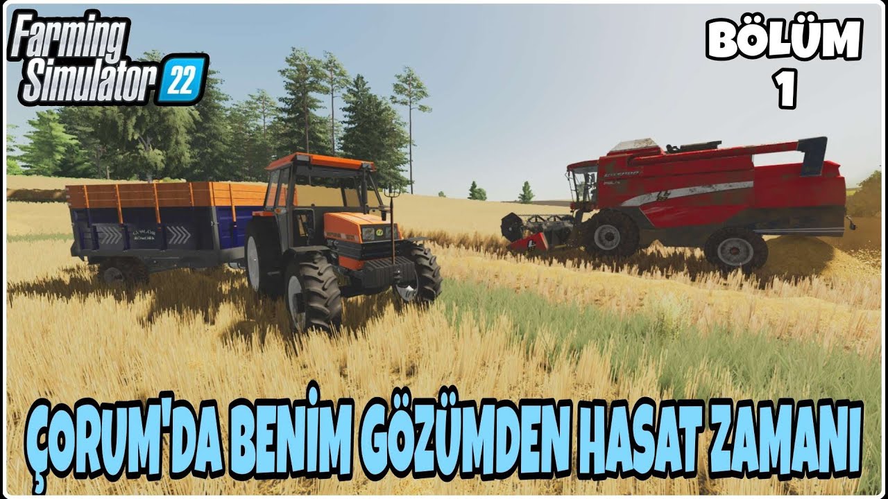 ÇORUM İÇİN HASAT ZAMANI AMA BJORNÜN GÖZÜNDEN /1