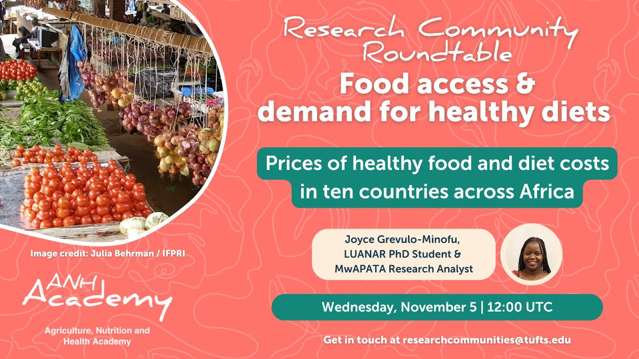 Food Access | Research Roundtable with Joyce Grevulo-Minofu