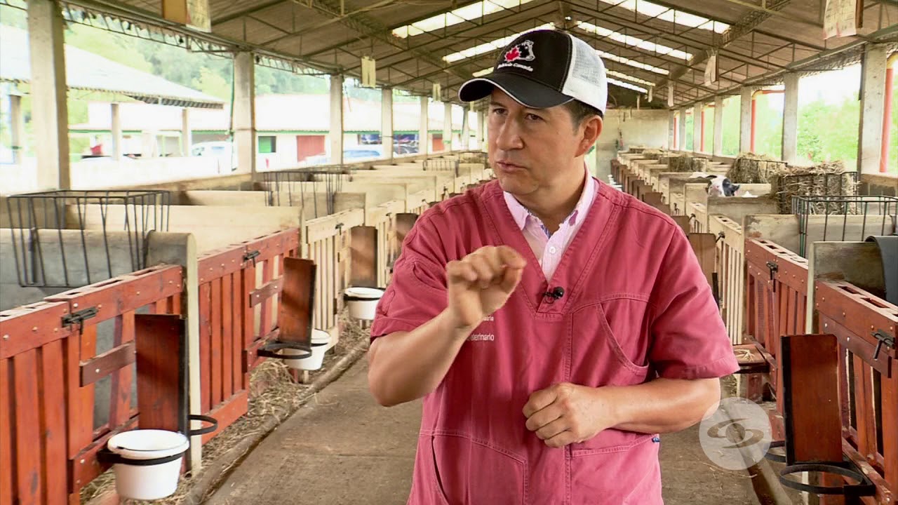 Medición del calostro para conocer su calidad | La Finca de Hoy