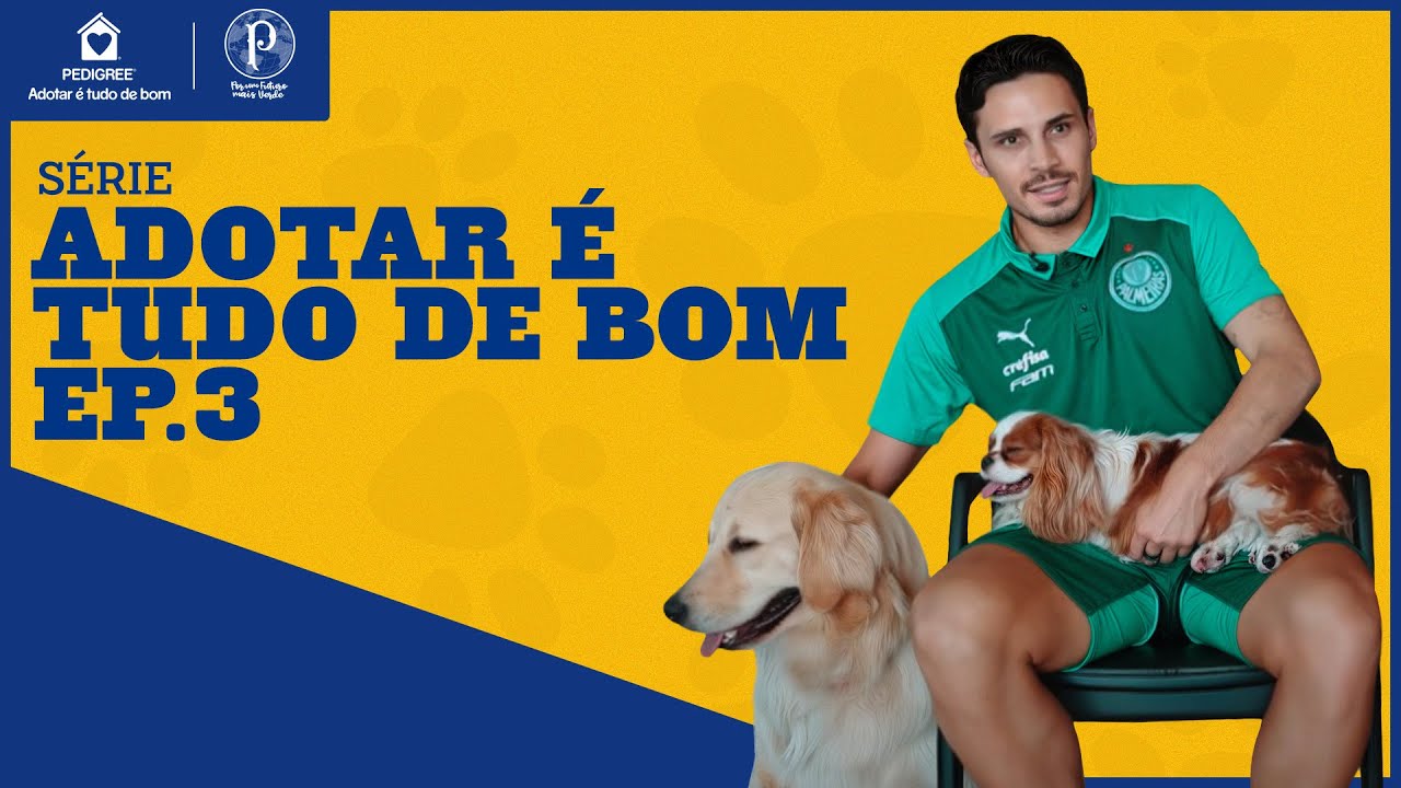 VEIGA E OS CACHORROS DA SUA FAMÍLIA | MINISSÉRIE ADOTAR É TUDO DE BOM #3