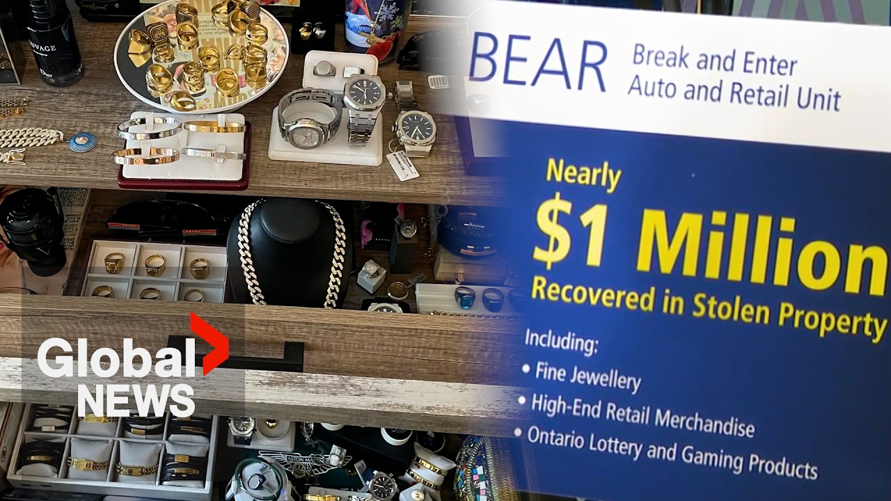 Retail theft in the GTA: PRP&rsquo;s BEAR unit recover nearly $1 million in stolen property | FULL