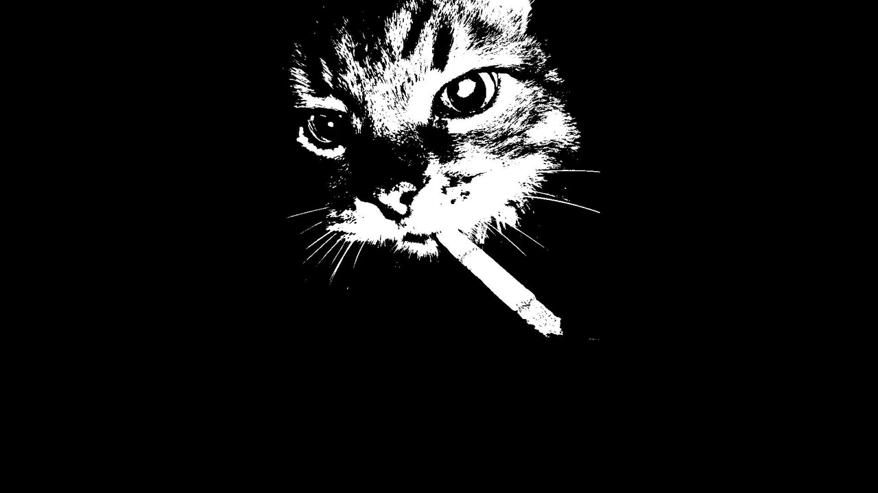 [free] Pop Punk x Pop Rock Type Beat 