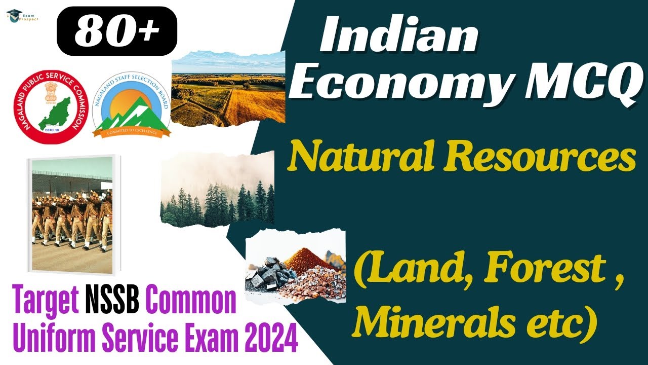 Ace the NSSB Exam 2024: Indian Economy, Natural Resources MCQs (Land, Forest, Minerals) | Set 6