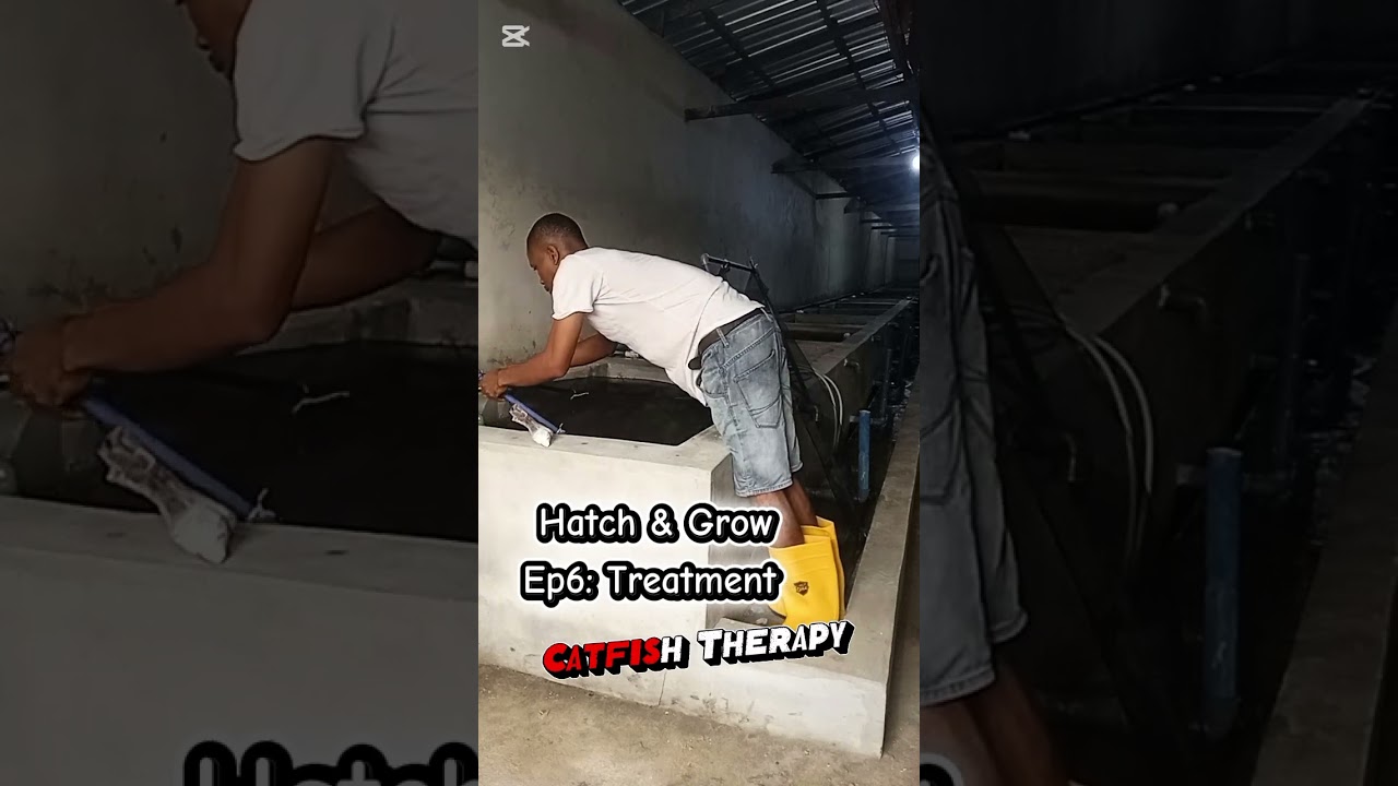 Hatch & Grow Ep6: Treatment. 