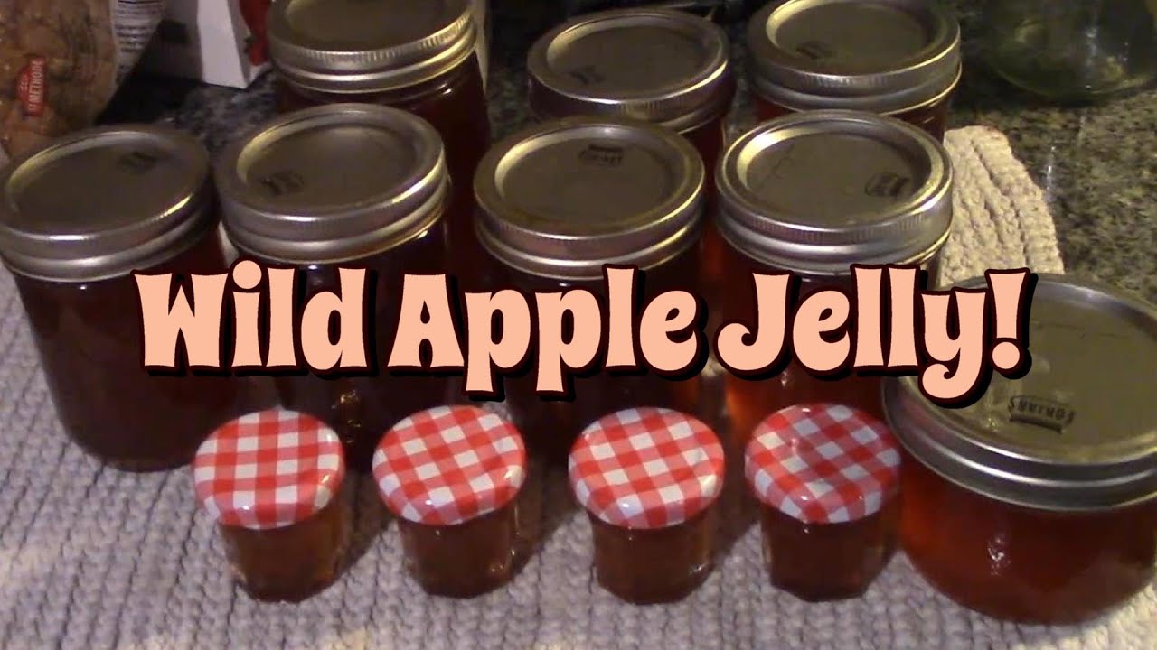 Making & Canning Wild Apple Jelly!
