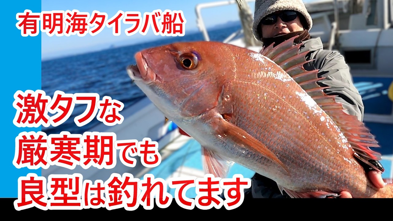 【タイラバ船】激タフな厳寒期でも、対応できれば良型が釣れてます【天草・有明海】