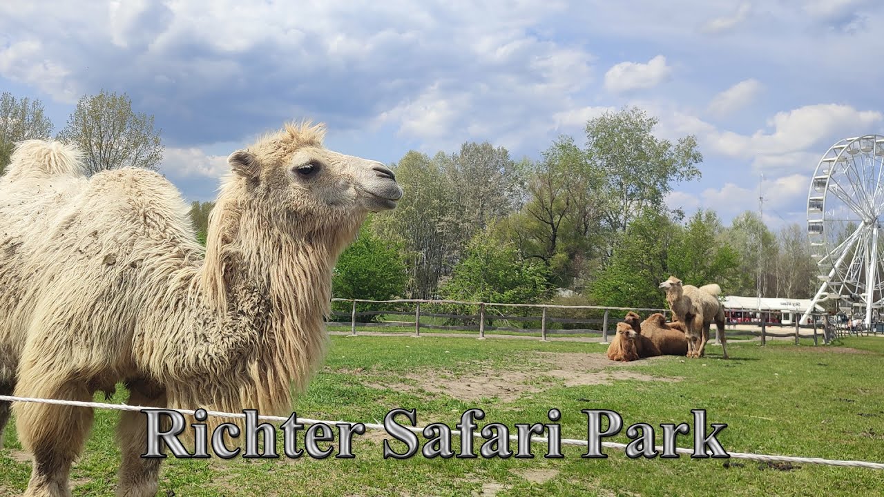 Richter Safari Park
