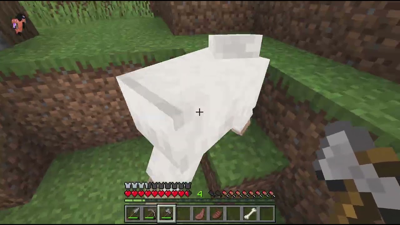 Minecraft_20260112161223