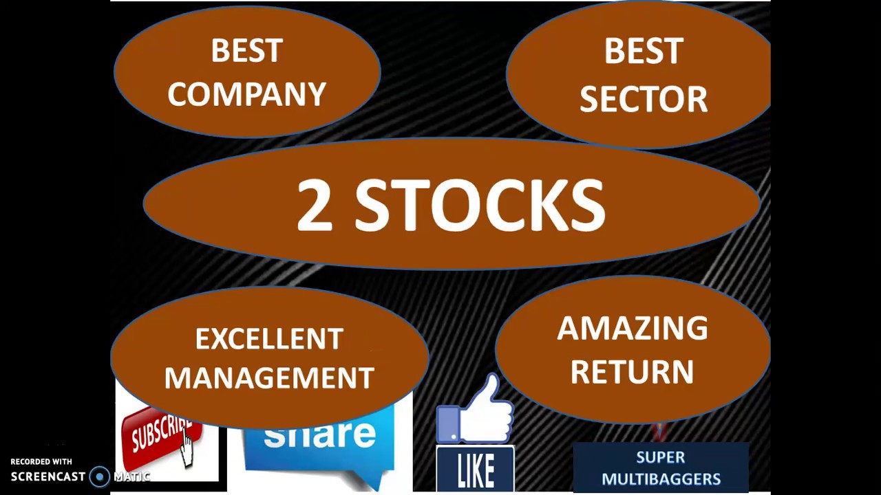 2 Multibagger stocks for long term. Best shares to buy in India