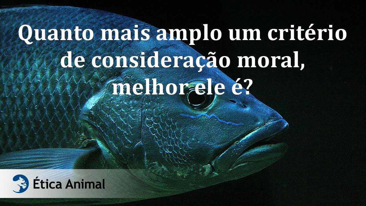 29 - Quanto mais amplo um critério de consideração moral, melhor ele é?